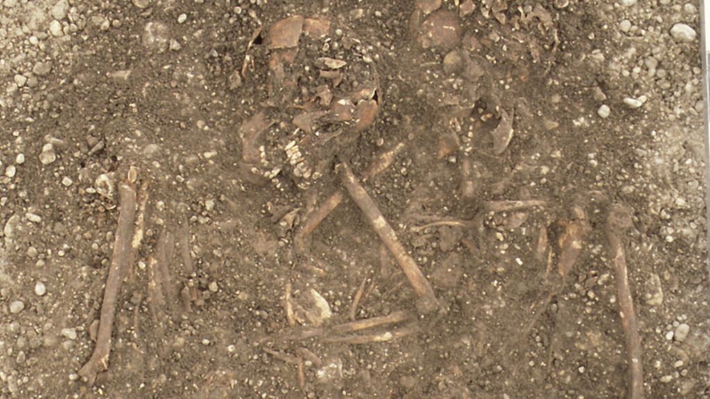 Skelette aus einem Grab aus dem 6. Jahrhundert