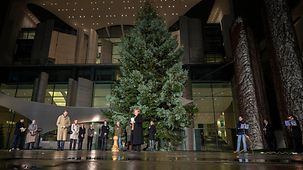 Kanzlerin Merkel bei der Übergabe des Weihnachtsbaums 