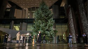 Federal Chancellor Merkel at the presentation of the Christmas tree