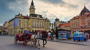 Pferde-Kutsche auf dem Liberty Square in Novi Sad.