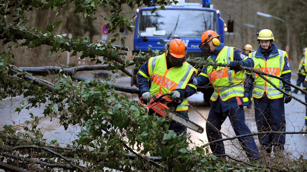 THW-Helfer zersägen einen umgestürzten Baum.