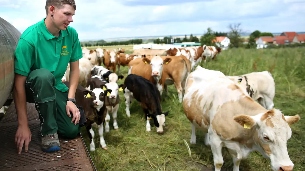 Tobias Schulz, Auszubildender der Agrargenossenschaft 'Kornbett', kontrolliert in Bösleben (Thüringen) den Wassertank auf der Weide einer Rinderherde