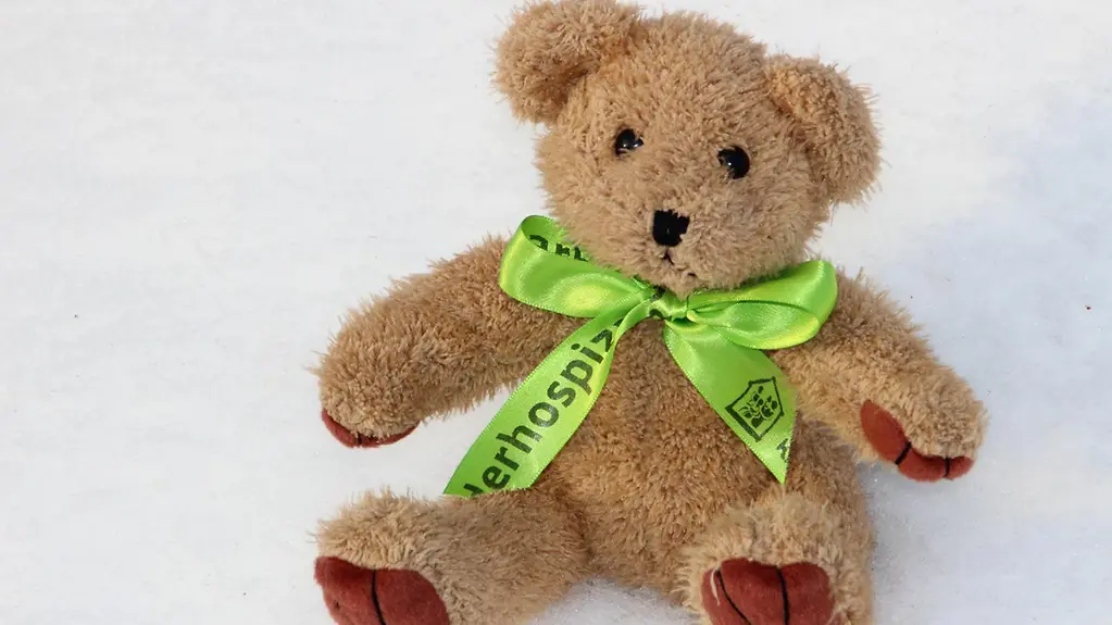 Teddybär mit grüner Schleife um den Hals