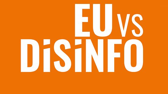Logo EU vs DISINFO