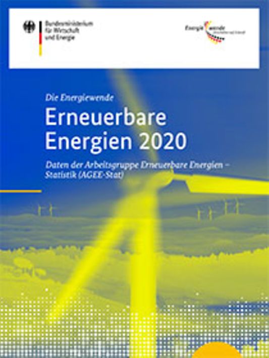 Titelbild der Publikation "Erneuerbare Energien 2020"
