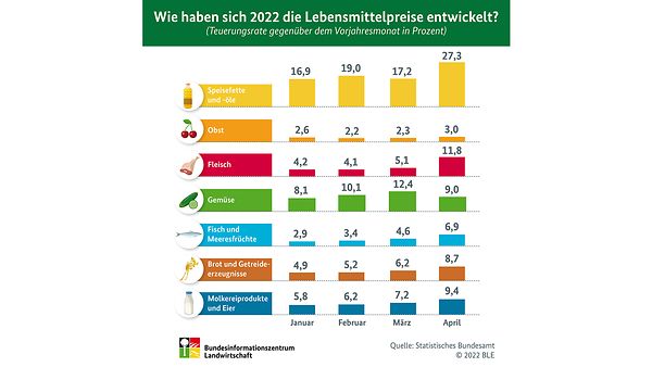 Grafik mit Darstellung der Entwicklung der Lebensmittelpreise 2022