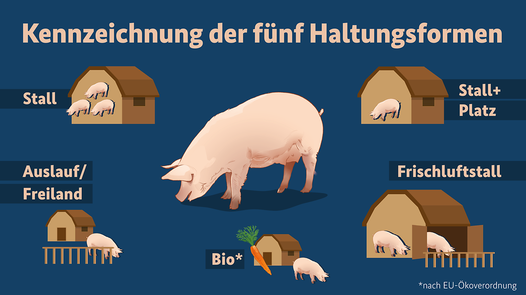 Die Grafik zeigt fünf Haltungsformen für Schweine, Stallhaltung unter Mindestvoraussetzungen, Stallhaltung mit Platz, Haltungsform Frischluftstall, Haltungsfporm mit Auslauf bzw. Freiland und Bio-Haltung nach EU-Verordnung.