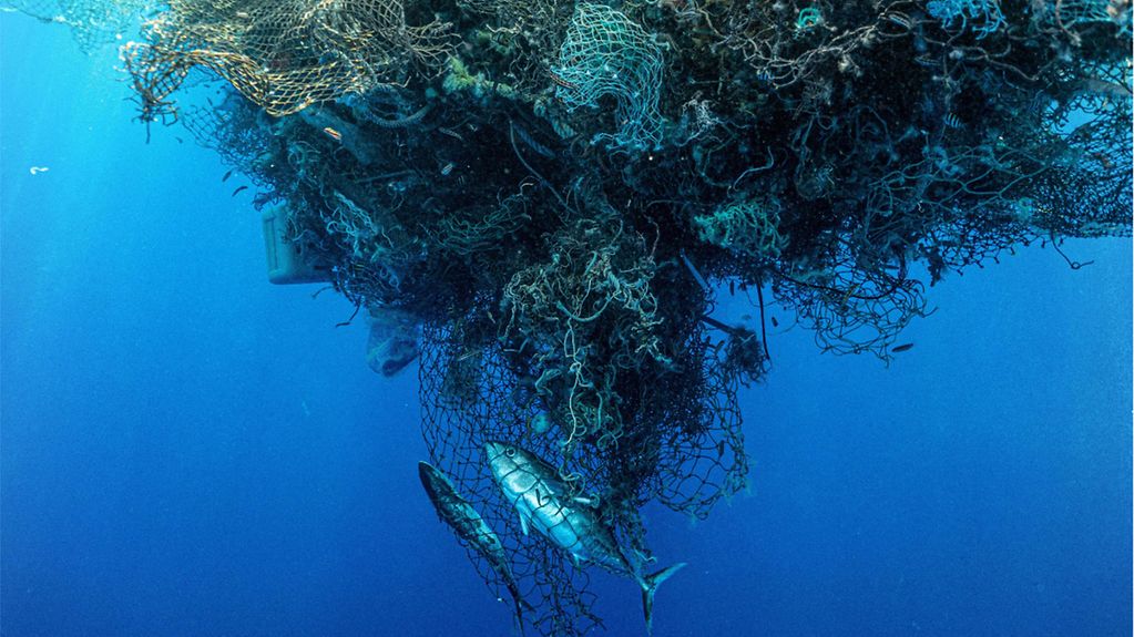 Ein toter Thunfisch in einem riesigen Ball alter Netze im Ozean.