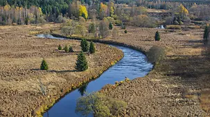 Blick auf die Moldau im herbstlichen Hochmoor, Tschechien, Sumava Nationalpark. 