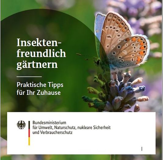 Titelbild der Publikation "Insektenfreundlich gärtnern"