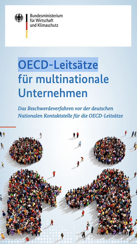 Titelbild der Publikation "OECD-Leitsätze für multinationale Unternehmen (barrierefrei)"