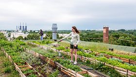 Junge Frau, gießt Kräuter und Pflanzen auf einem städtischen Dachgarten. Dach, grün, Nachhaltigkeit, Bepflanzung Bepflanzte Dachterrasse in einer Grossstadt.