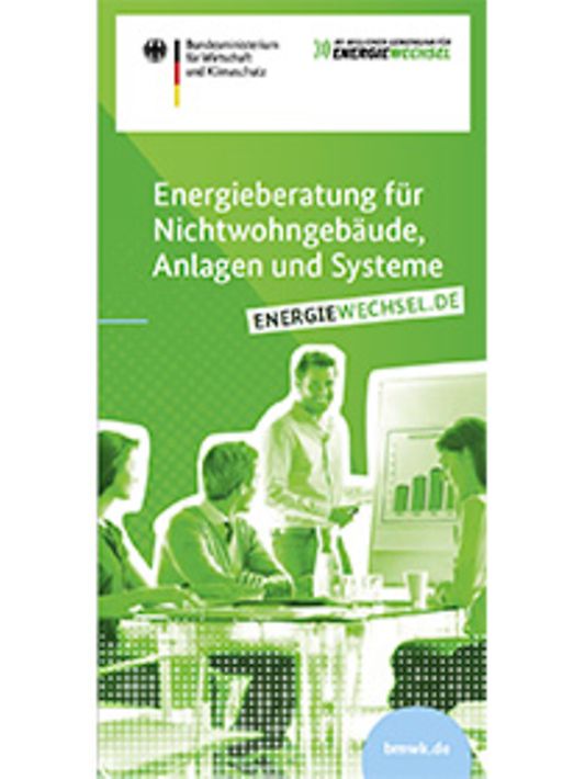 Titelbild der Publikation "Energieberatung für Nichtwohngebäude, Anlagen und System"