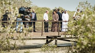 Federal Chancellor Olaf Scholz visiting a mangrove park with Mariam bint Mohammed Saeed Hareb Almheiri, Minister of Climate Change and the Environment.