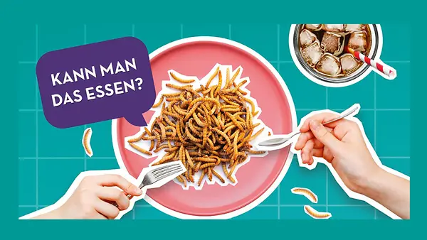 Kann man das essen? Teller mit Mehlwürmern