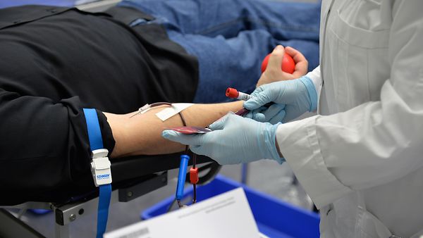 Blutspender bei einer Blutspende-Aktion des DRK im BPA. Blut, Blutkonserve, Blutspende