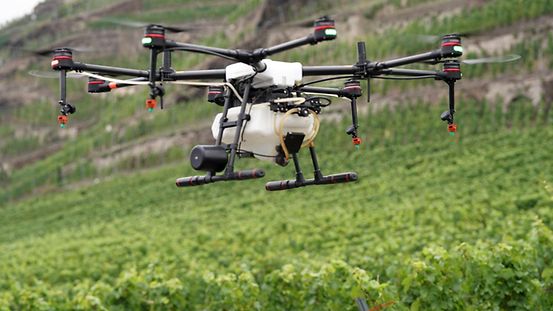 Drohne im Weinanbau
