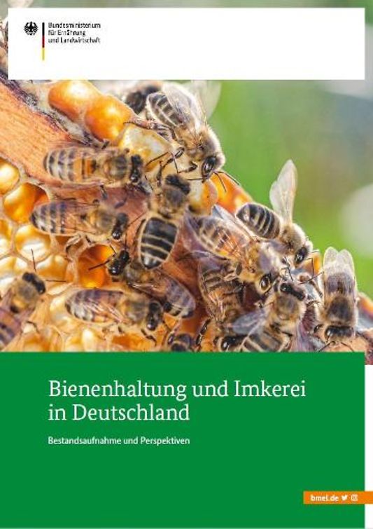 Titelbild der Publikation "Bienenhaltung und Imkerei in Deutschland"