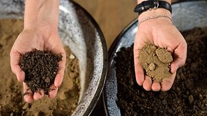 Hände halten Komposterde und Sandboden