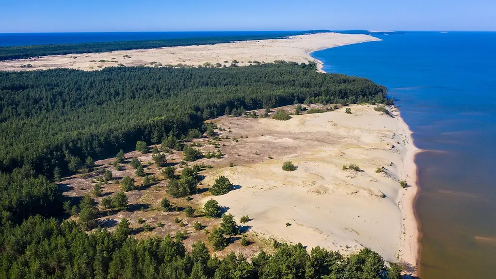Blick aus der Luft auf die Strände und den Wald auf der Halbinsel der Kurischen Nehrung.