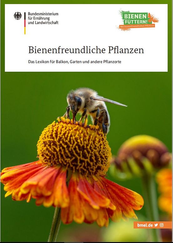 Titelbild der Publikation "Bienenfreundliche Pflanzen - Das Lexikon für Balkon, Garten und andere Pflanzenorte"