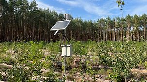 Sensoren stehen im Kiefernwald und erheben unterschiedliche Daten