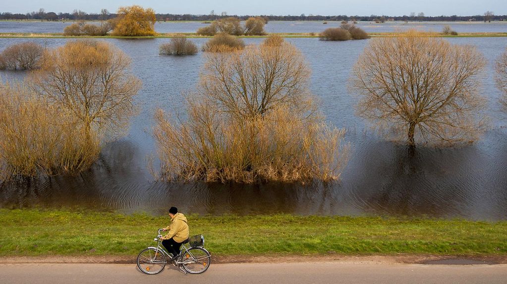 Radfahrer auf dem Hochwasserdeich
