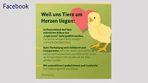 Der 4. Oktober ist Welttierschutztag. 