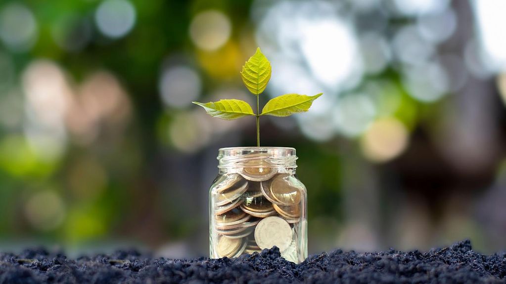 Ein Baum wächst aus einem mit Geld gefüllten Glas.