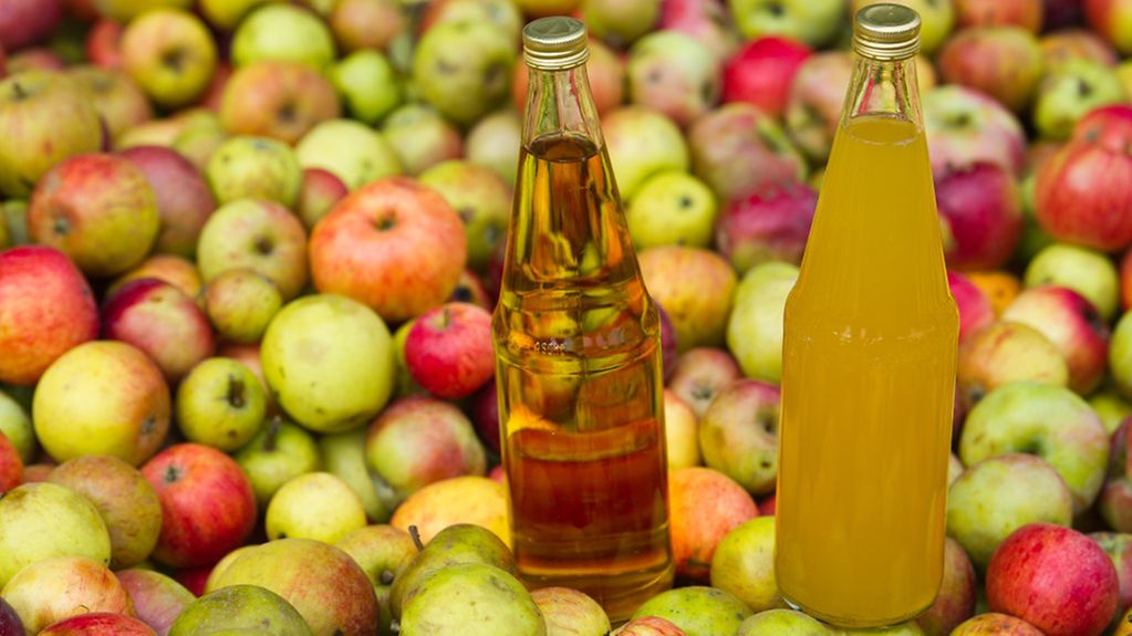 In der Mosterei Skottki in Buckow unweit von Beeskow (Brandenburg) stehen zwei Flaschen mit Apfelsaft in einem Behälter mit Äpfeln. Apfel, naturtrüb, naturtrüber