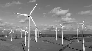 Gefahren des Klimawandels werden durch das Grundgesetz erfasst.