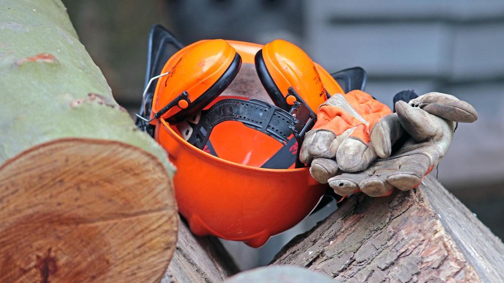 Schutzkleidung für den Arbeit (ein Helm, Gehörschutz und Handschuhe) liegt auf Baumstämmen.