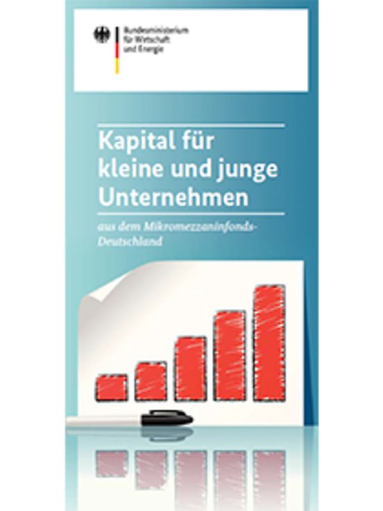 Titelbild der Publikation "Kapital für kleine und junge Unternehmen"