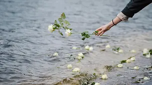 Eine Rose wird ins Wasser geworfen.