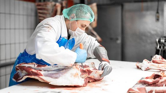 Verbesserte Arbeitsbedingungen und besserer Arbeitsschutz in der Fleischindustrie