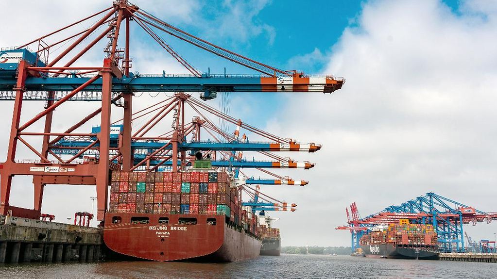 Zwei Containerschiffe im Hamburger Hafen