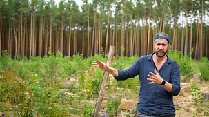 Waldbesitzer Benedikt Bösel steht in seinem Wald.