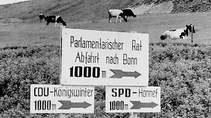 Hinweisschild Parlamentarischer Rat - im Hintergrund Kühe auf einer Weide.