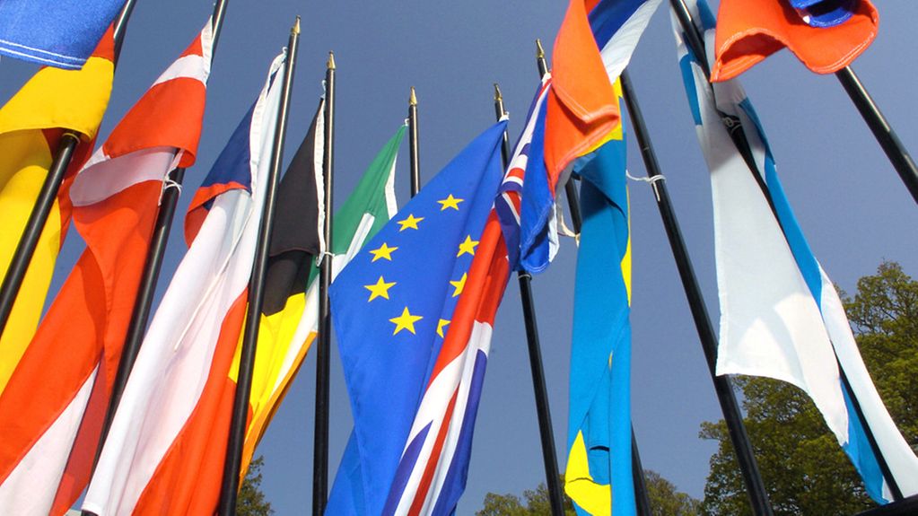 Europafahne und Fahnen von EU-Mitgliedsländern.
