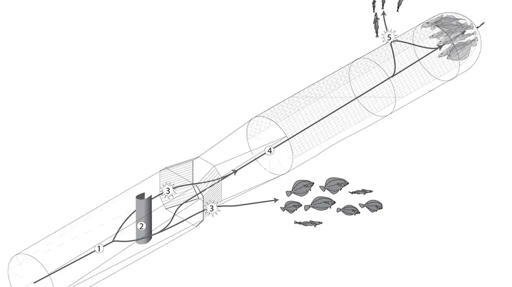 Forschung Netze Freswind