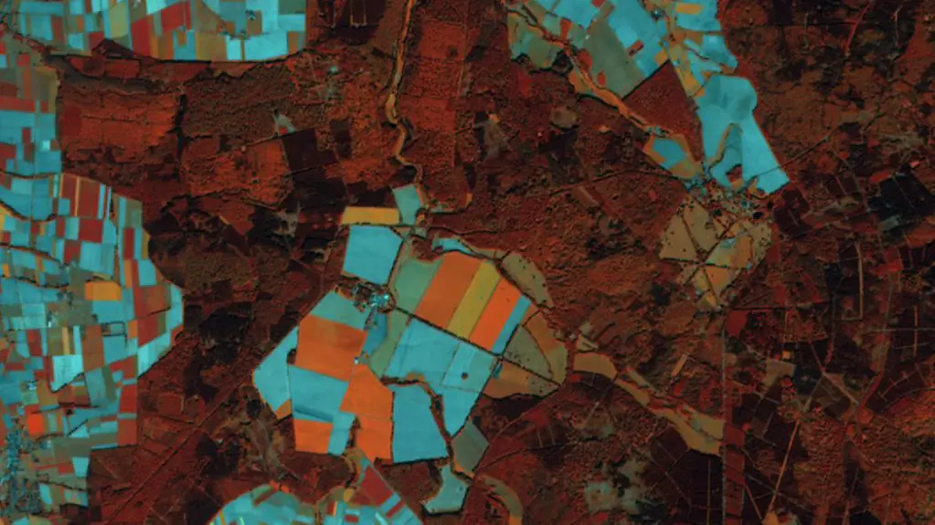 Satellitenbild Sentinel mit Ultrarotfilter