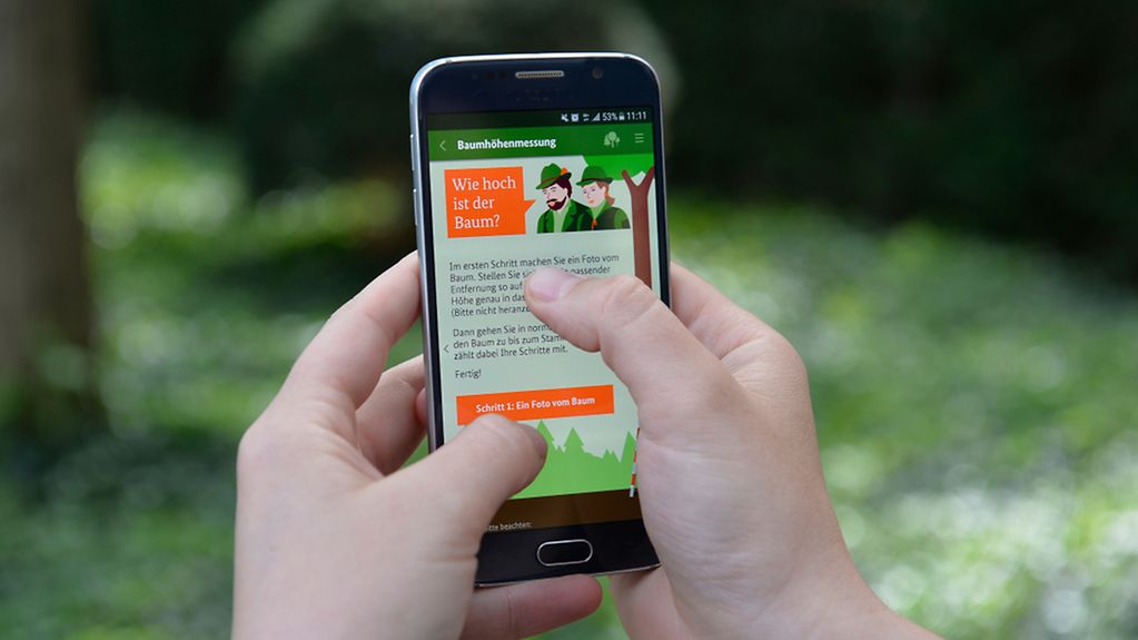 Wald-App auf einem Smartphone