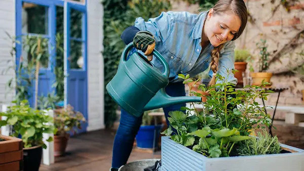 Frau gießt Blumen in einem selbstgemachten Blumentopf.