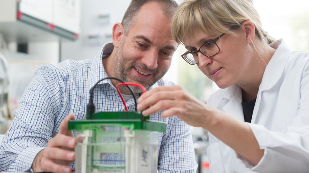 Prof. Dr. Jan Frank und seine Mitarbeiterin Christina Schiborr arbeiten mit einer Gelelektrophoresekammer am Institut für Biologische Chemie und Ernährungswissenschaft der Universität Hohenheim.