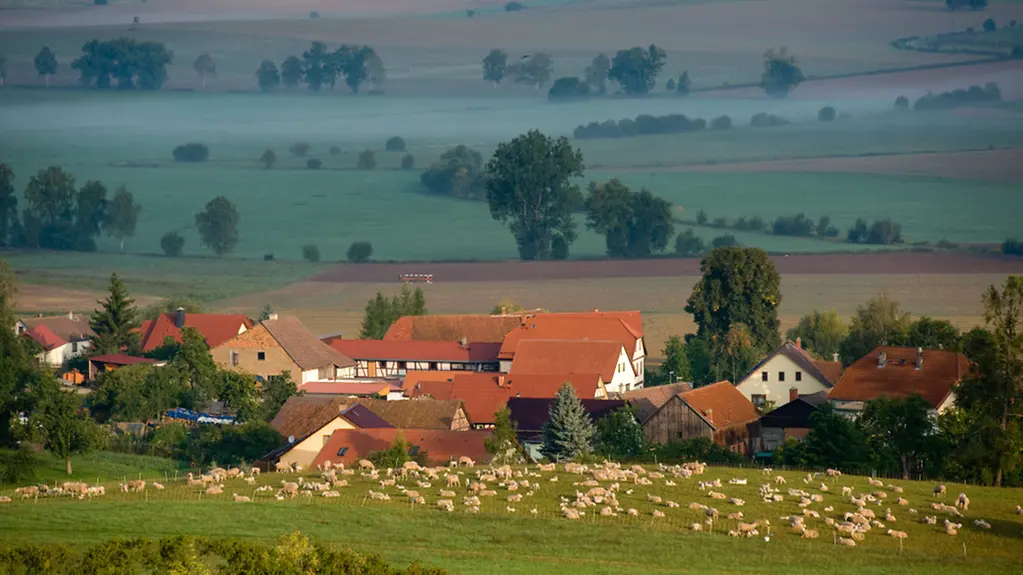 Dorf