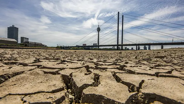 Rhein bei Düsseldorf, extremes Niedrigwasser