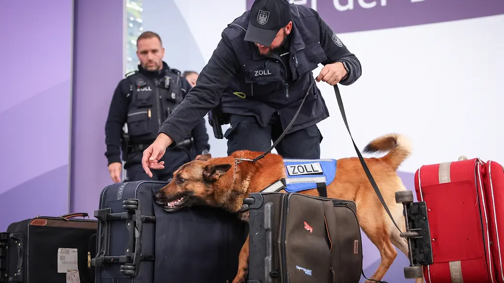 Zollhunde