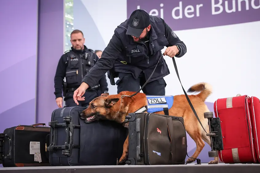 Zollhunde