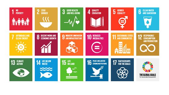 The Global Goals_Logo_and_Icons.
