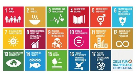 17 Grafiken mit Zielen für Nachhaltige Entwicklung